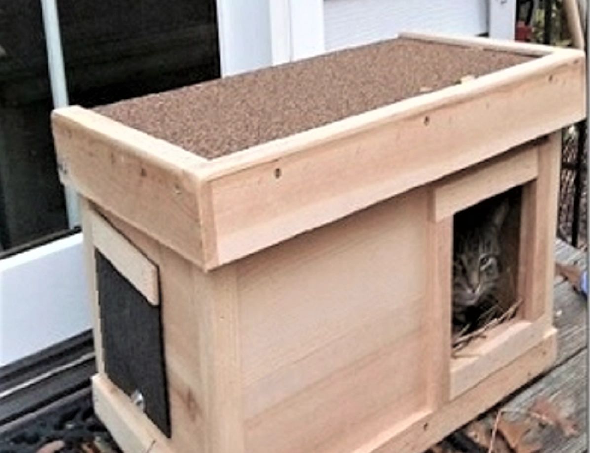 Outdoor wooden CAT HOUSES with square entrances